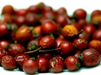 Kuşburnu Çekirdeği Yağı Sivilce Kuşburnu Çekirdeği Yağı Sivilce